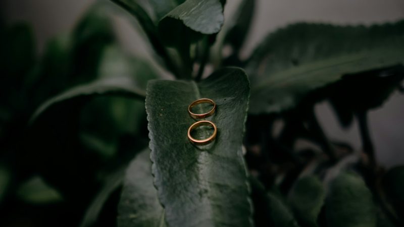 9년째 사랑 이어가는 김우빈♥신민아, 11월 ‘이별 괴담’ 속에서도 빛난 모범 커플